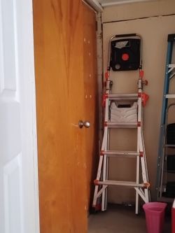 Little Giant 12-ft ladder 6 ft step ladder this is the one that you really need