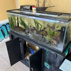Fish Aquarium Tank 