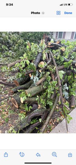 Free Firewood