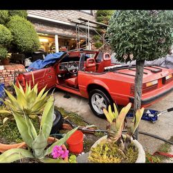 1986 Mustang Convertible 
