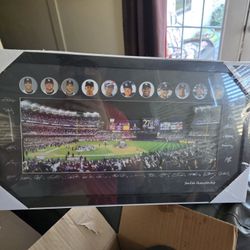 Yankees Collectors 