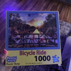 1000 Price Puzzle