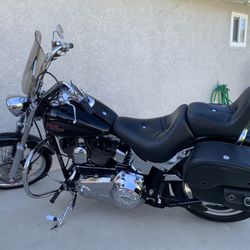 2007 Harley Davidson Custom Softail