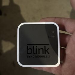 Blink Sync Module 2