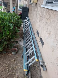 Ladder