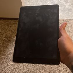 iPad 