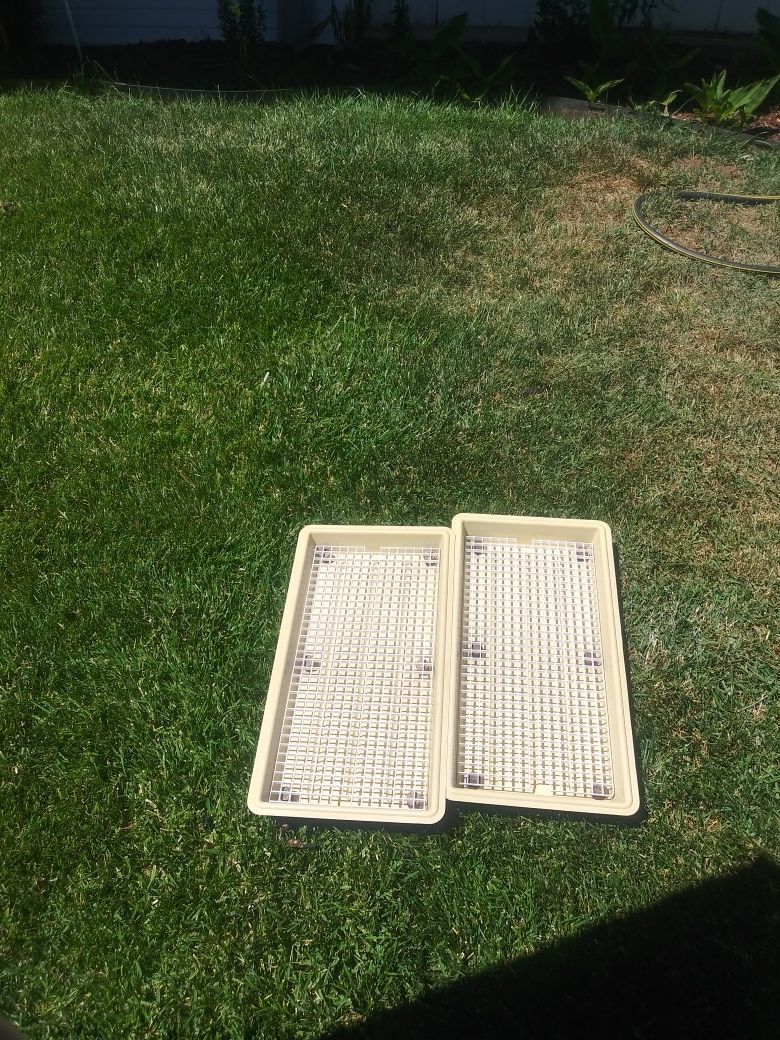 Auto watering trays for african violets