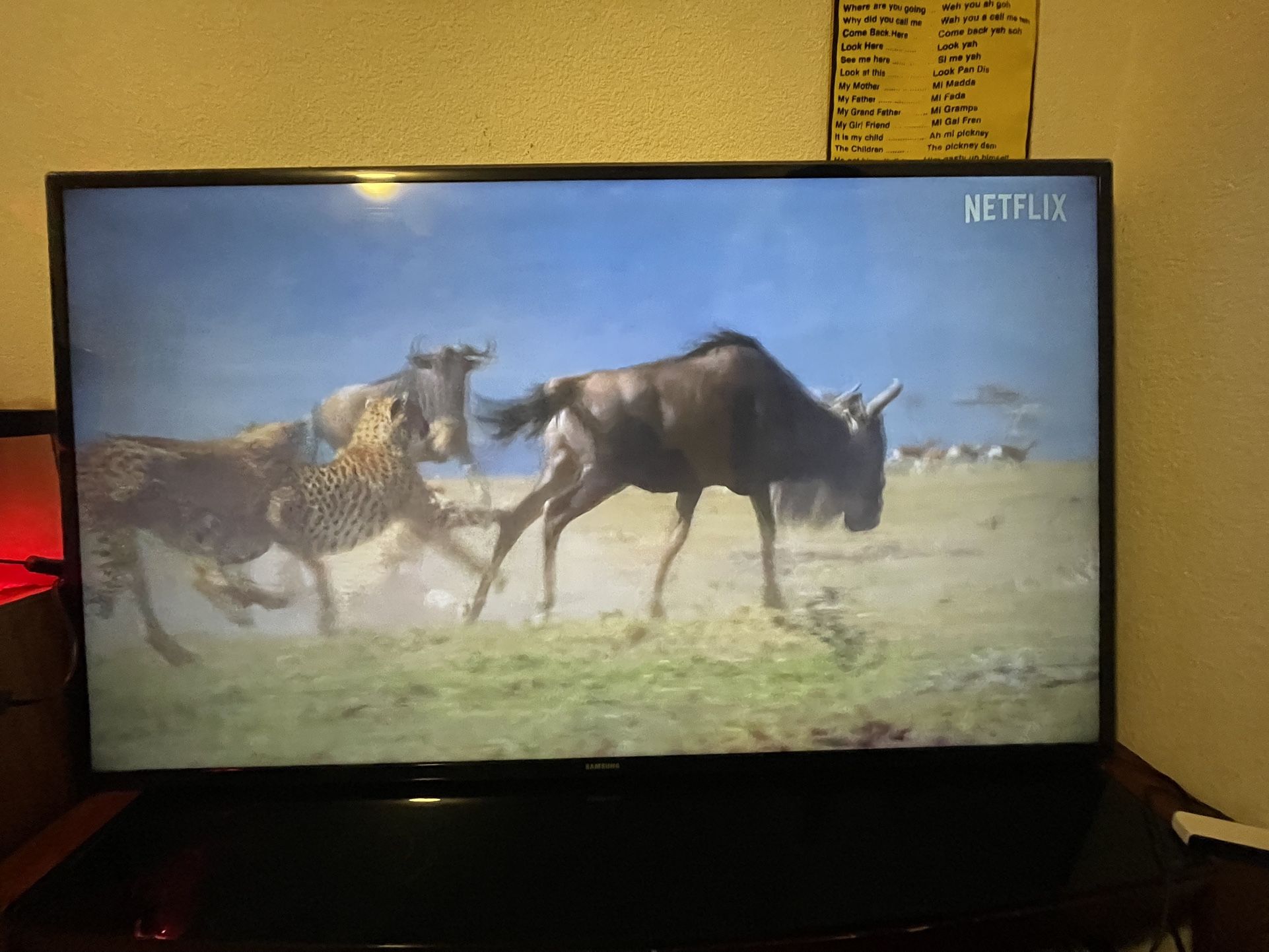 65 Inch Samsung/Glass And Real Oak Tv Stand/Samsung Home Audio Speaker