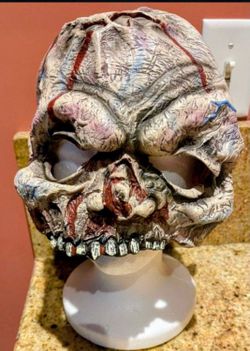 Adult Size Face Mask