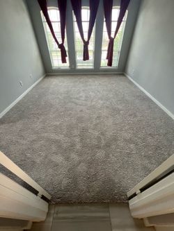 New Carpet