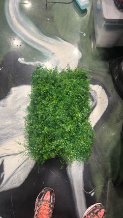 Grass panels