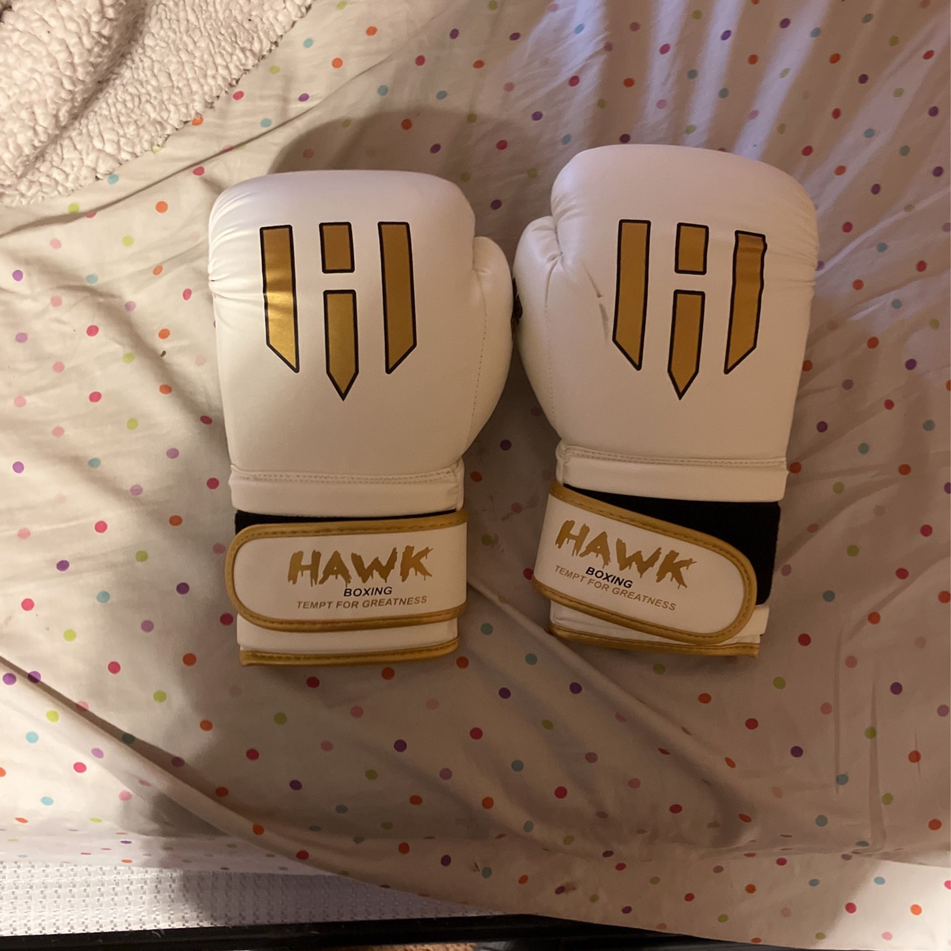HAWK boxing gloves 14.oz
