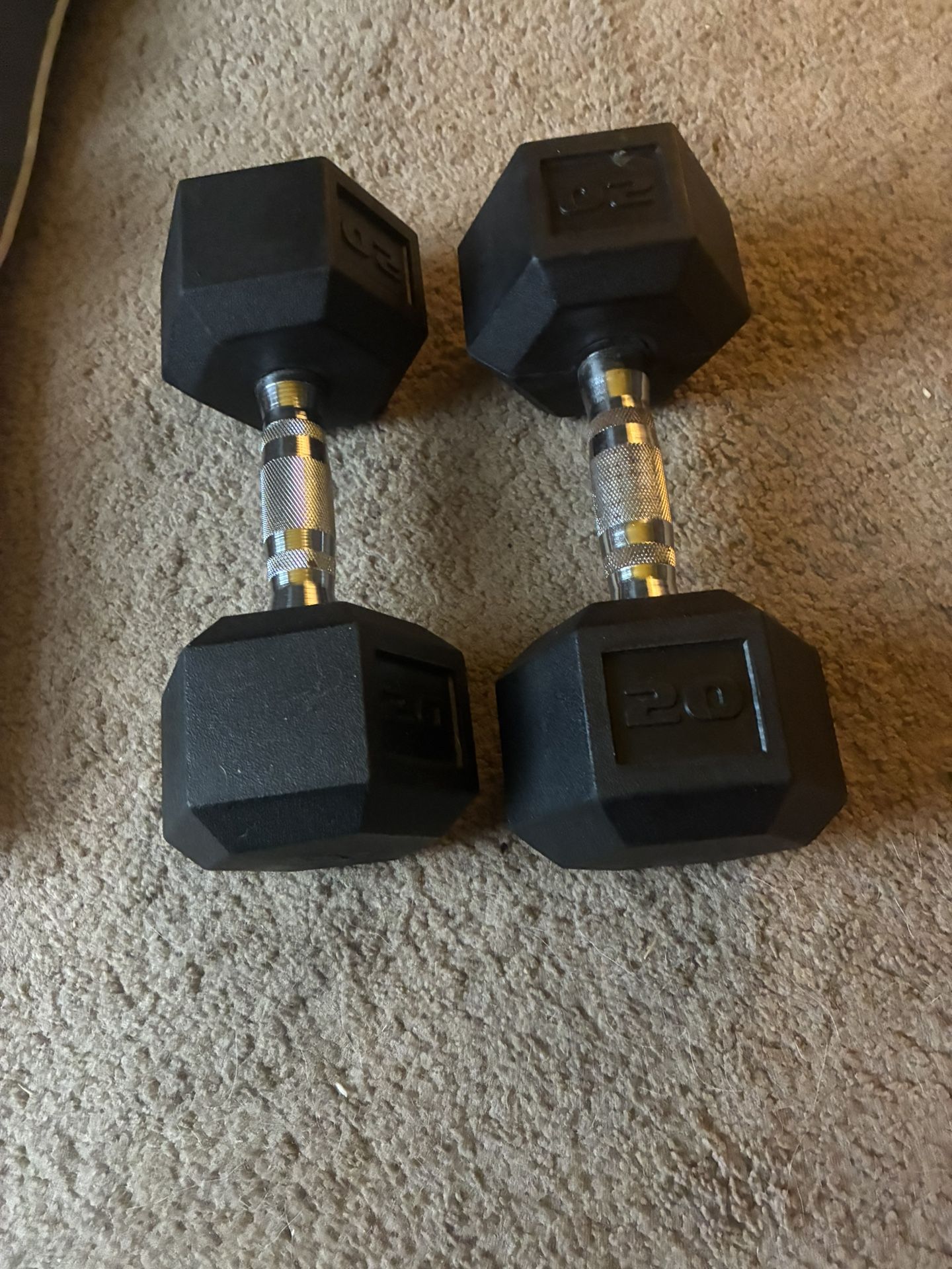 20lb Dumbbells
