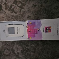 Roku/muama Portable Wifi
