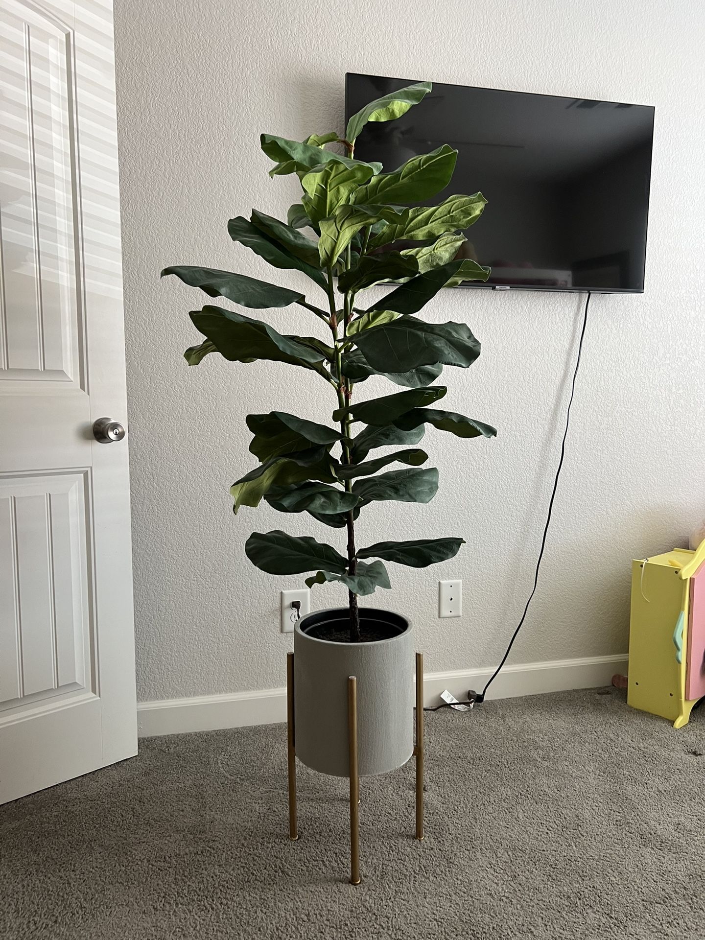 Faux Fiddle Fig plant With Planter