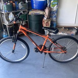 Mountain bike for kids 10-13