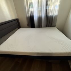 Queen Mattress And Bed Frame 