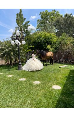Quinceañera Dress