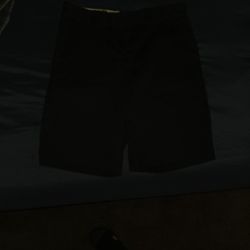 Dickies Men's Shorts