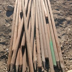 Wood Stakes