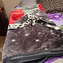 Nice Warm Blanket Used Twice To Small For My Bed 20.00