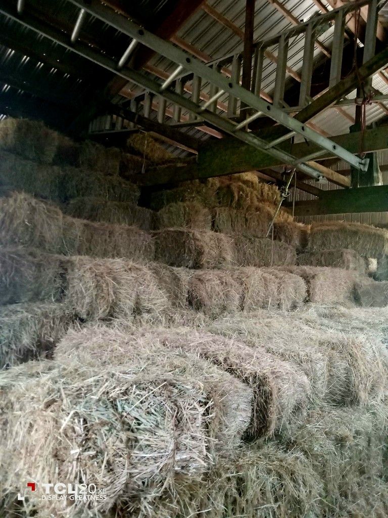 LOCAL GRASS HAY