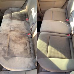 Carpet, Couches, Auto