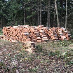 Fire Wood For Sale 
