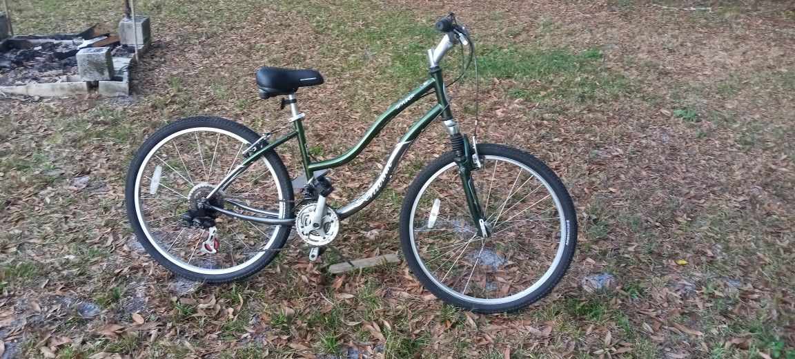 Schwinn skyliner bike store price