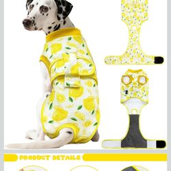 Large Outfits For Dogs