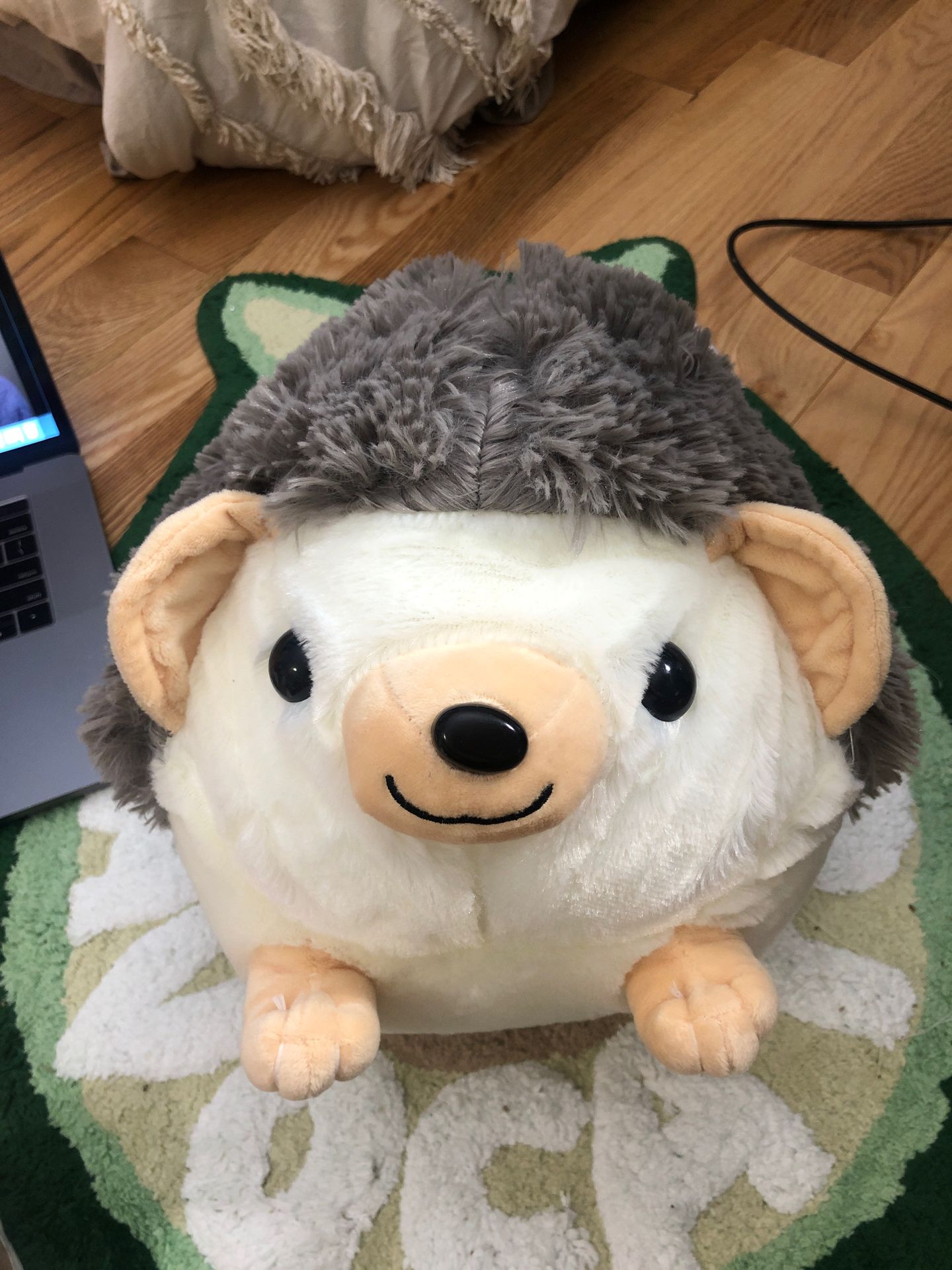Huge hedgehog plushie
