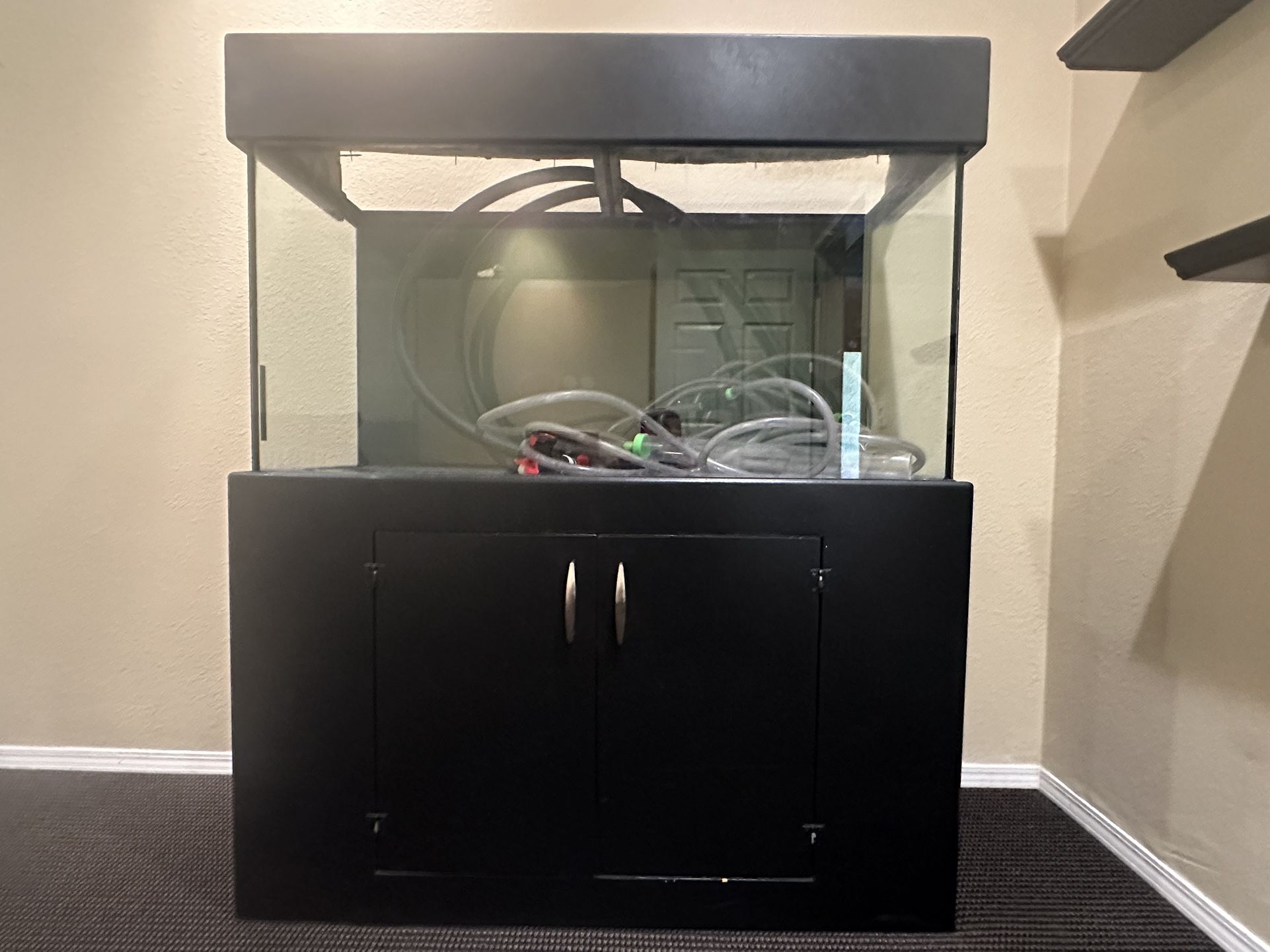 90 Gallon Tank