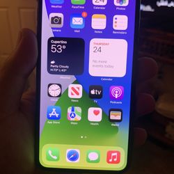 Apple iPhone XS Max 