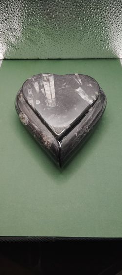 Orthoceras Container With A Lid 