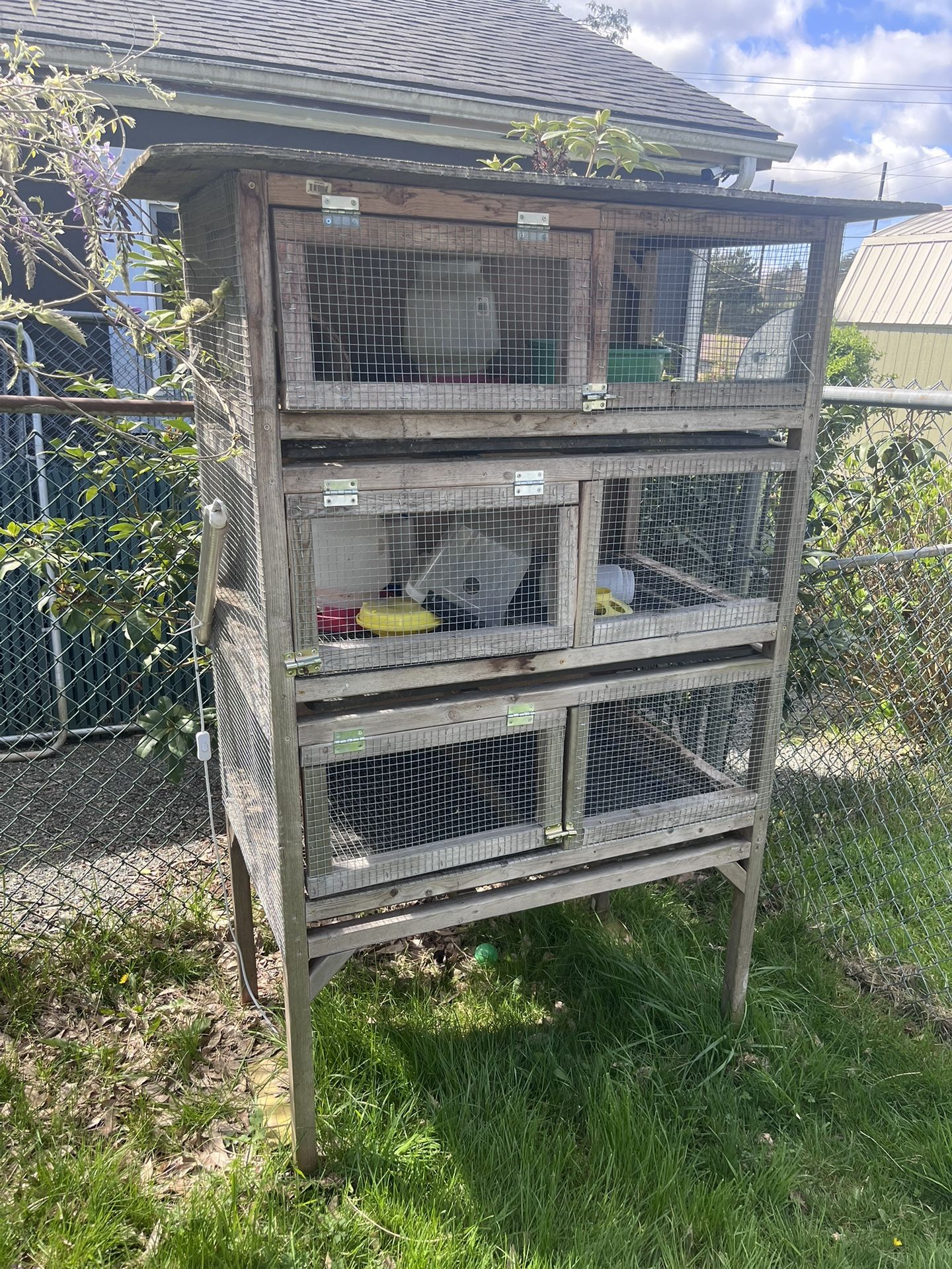 Quail Hutch