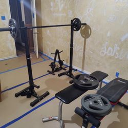 Barbell Bench And Multiple Plates 