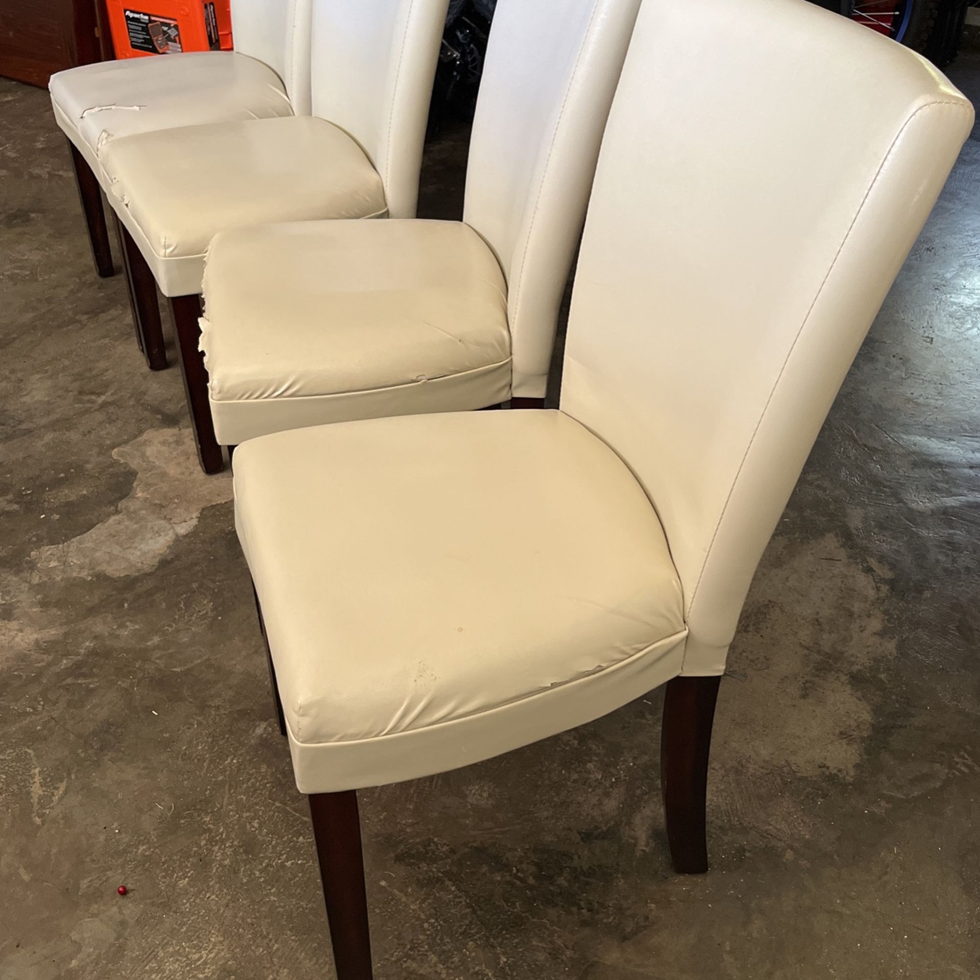 Dining Chairs 