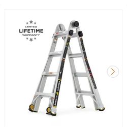 New Gorilla Ladder 