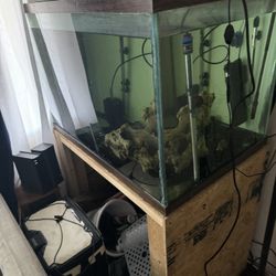 Fish Tank For Sell Asking 150 