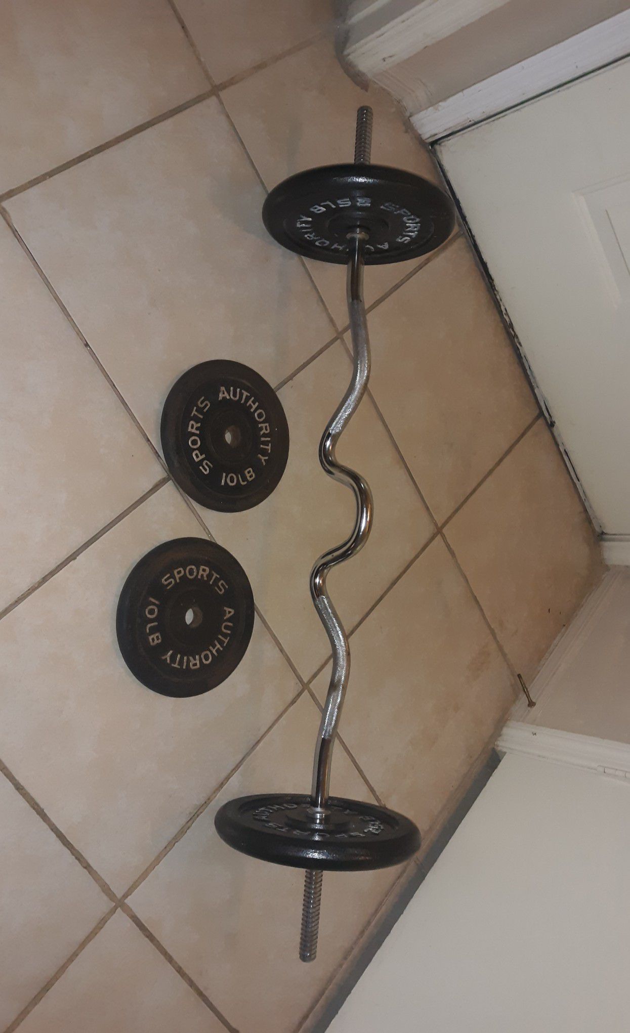 Sports Authority weights and Curl Bar