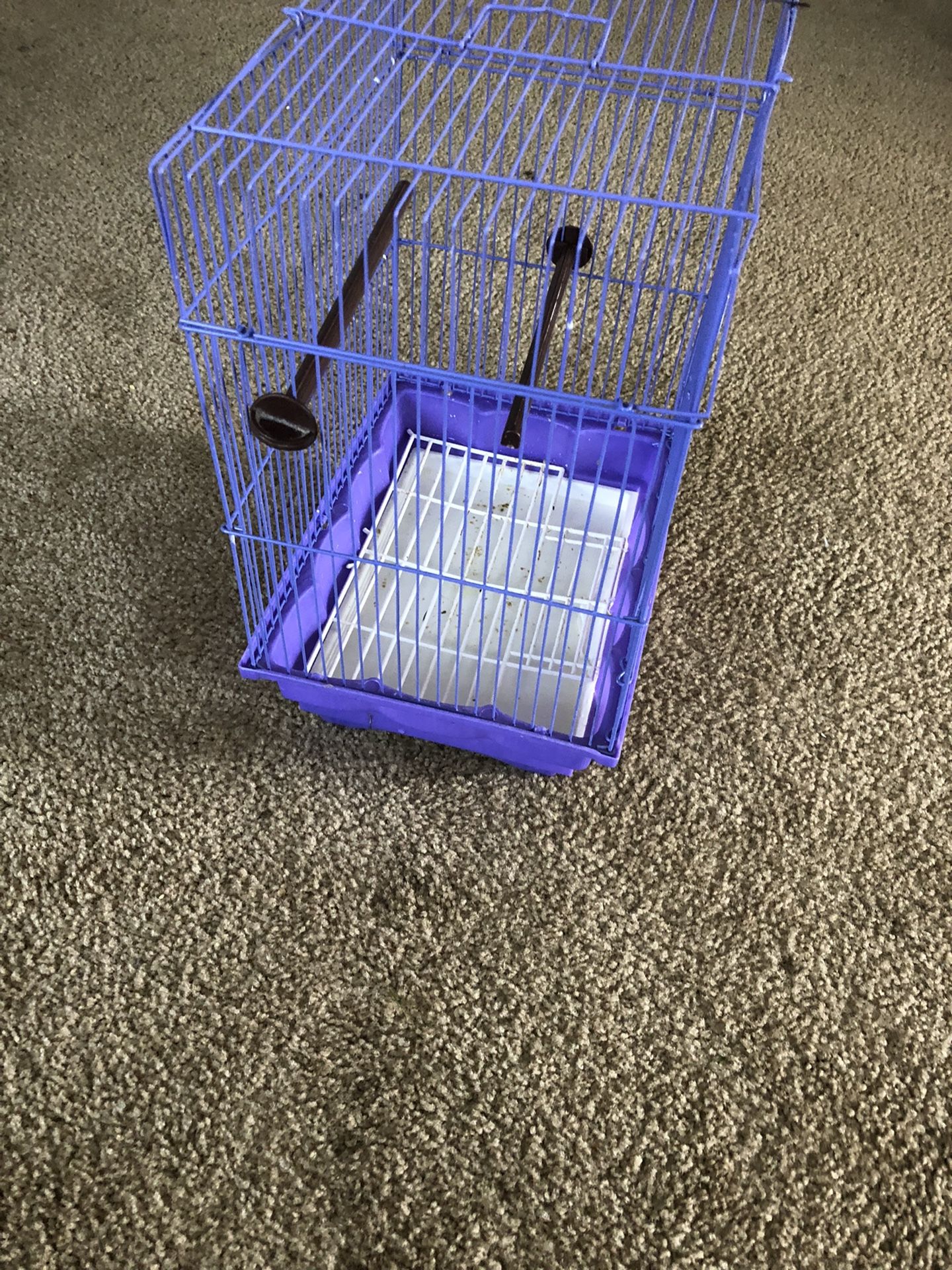 Small Bird cage