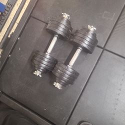 Adjustable Dumbbells