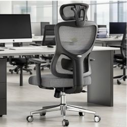 Ergonomic Mesh Office Chair