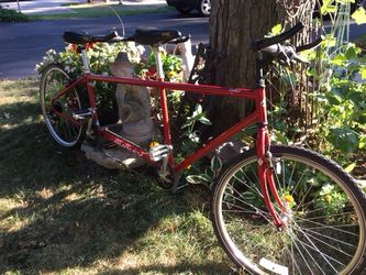 Burley zydeco tandem sale