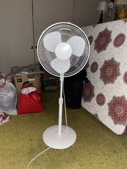 Fan