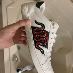 Gucci shoes