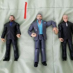 Wwe Wrestlers Figures $5 And $10 And $20 Each