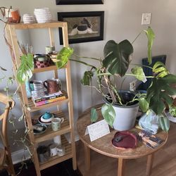 Shelf