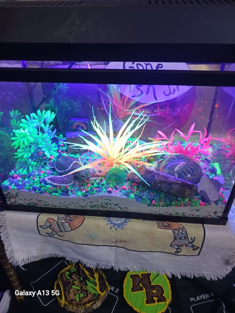 Fish/Reptile Tank