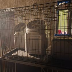Dog Cage 